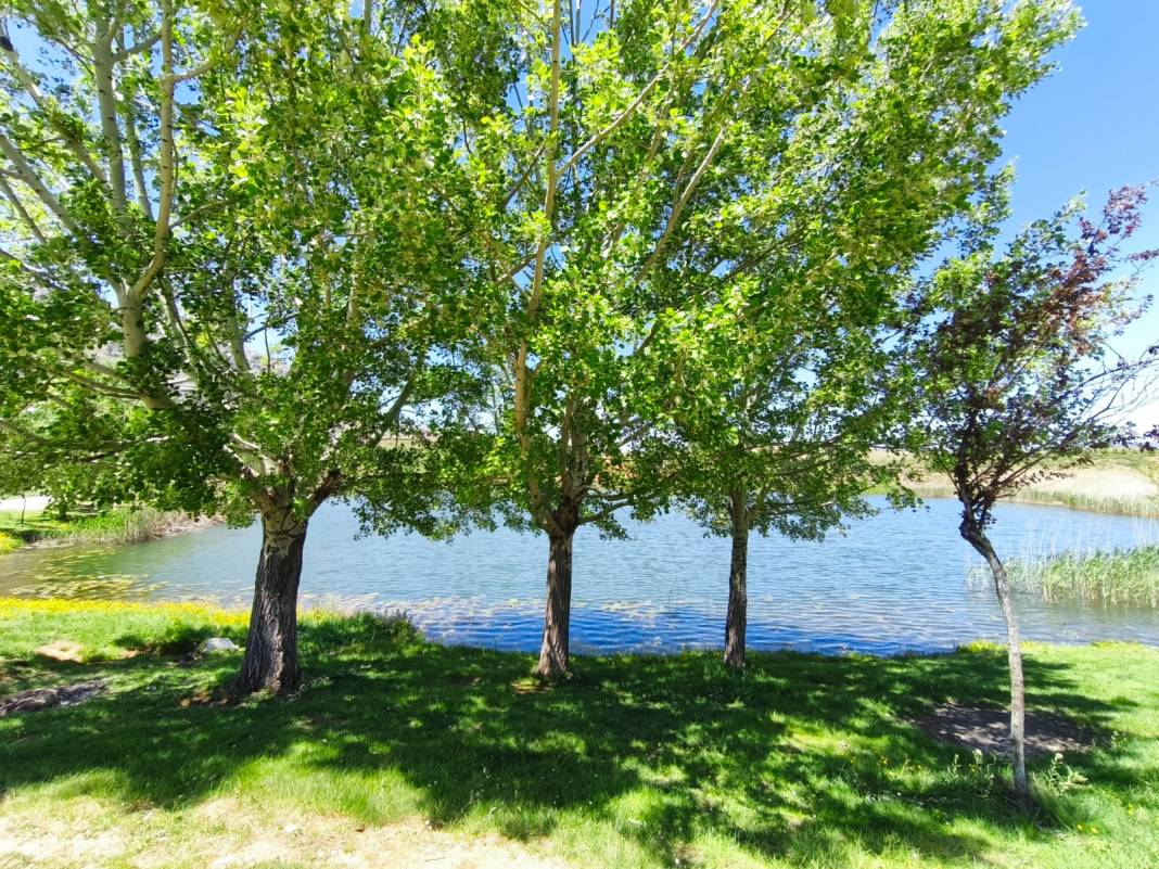 Konya’da gizem ve huzurun buluştuğu konum 5